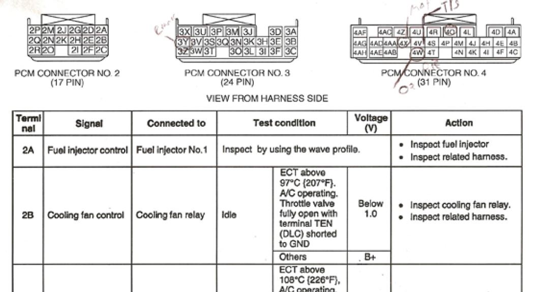 Pin Wiring Diagram Ecu Wiring Ecu Basic Diagram Bike Any Switches Wire